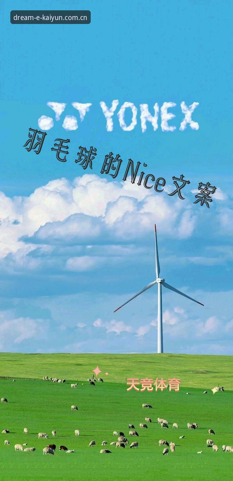 资深体育迷聊世界杯观赛：签证困局下的冷场与我的平台选择心得